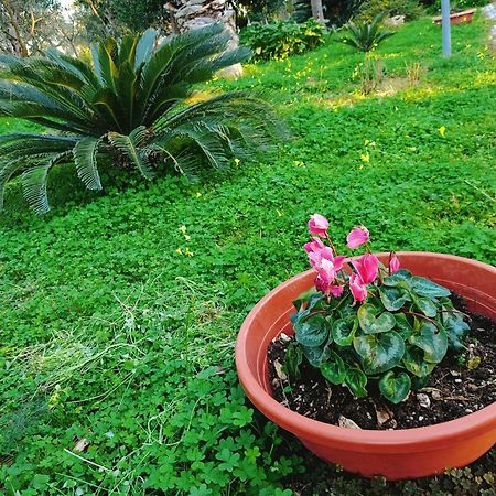 B&B Verdeoliva Modugno Kültér fotó