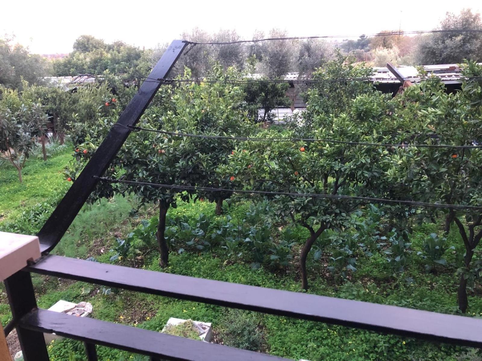 B&B Verdeoliva Modugno Kültér fotó