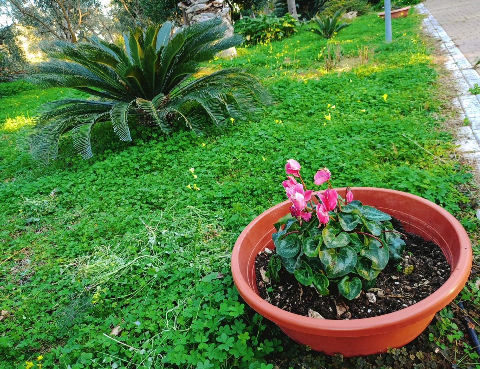 B&B Verdeoliva Modugno Kültér fotó